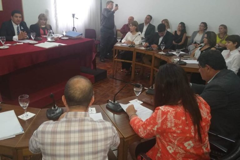 REPERCUSIONES DEL DISCURSO DE OJEDA EN EL HCD