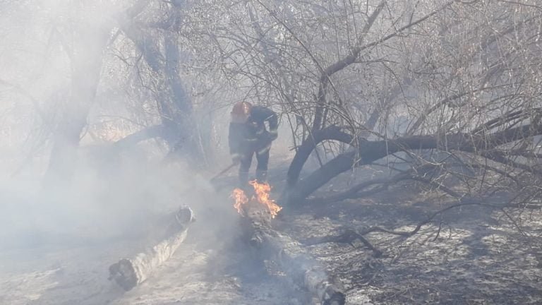 INCENDIO EN BARDAS BLANCAS, ACTUALIZAMOS