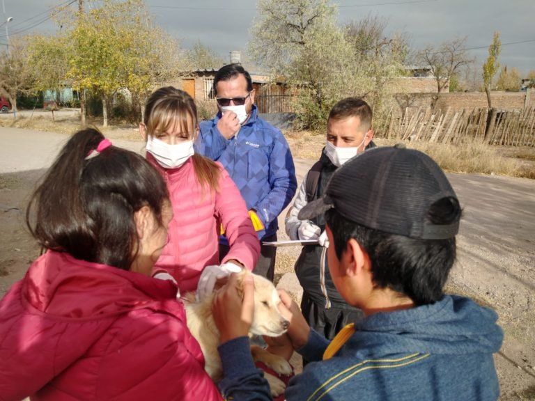 VACUNAN PERROS Y GATOS EN BARRIO MUNICIPAL