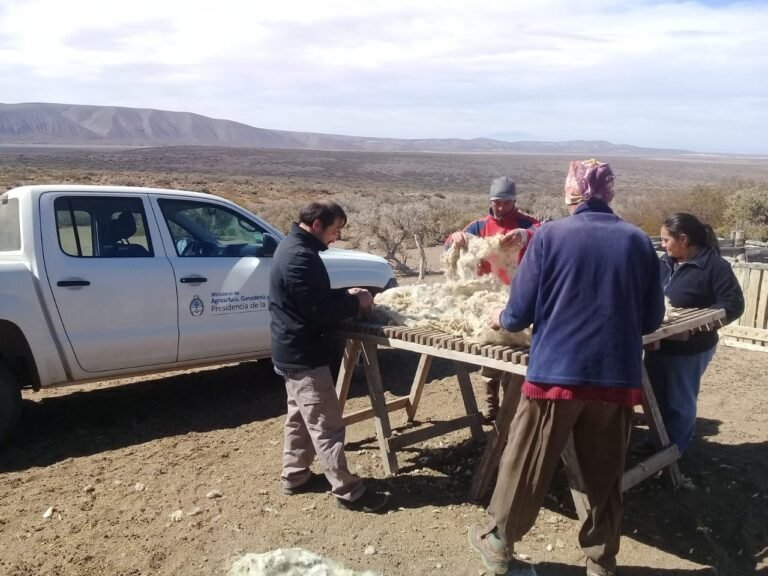 VENDEN LANA DE MALARGÜE EN LAVALLE
