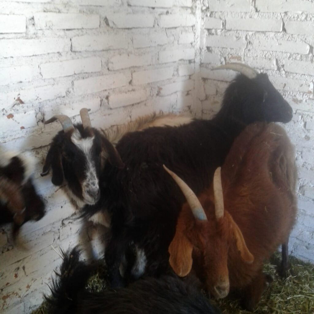 43e47f92 448a 452b 9706 575425920b55