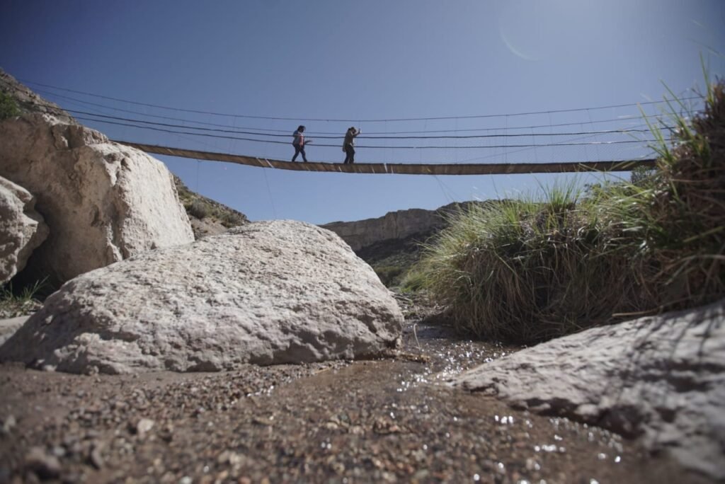 58d31234 8a21 4e21 bf81 21a39e5225c8