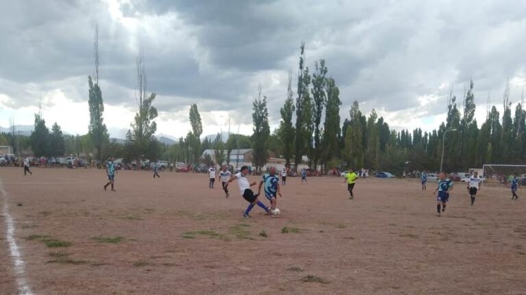 Los pumas y Ferrosol son líderes del torneo “Pina” Ponce