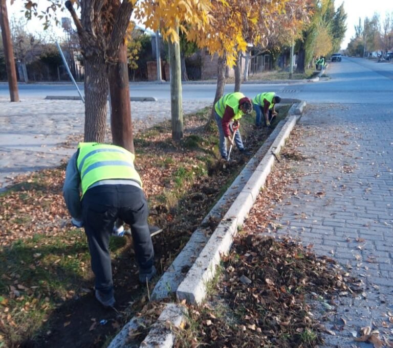 Las cuadrillas de servicio al vecino ya han superado los 19.000 metros lineales de trabajo