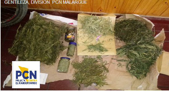 La policía sigue secuestrando marihuana en Malargüe