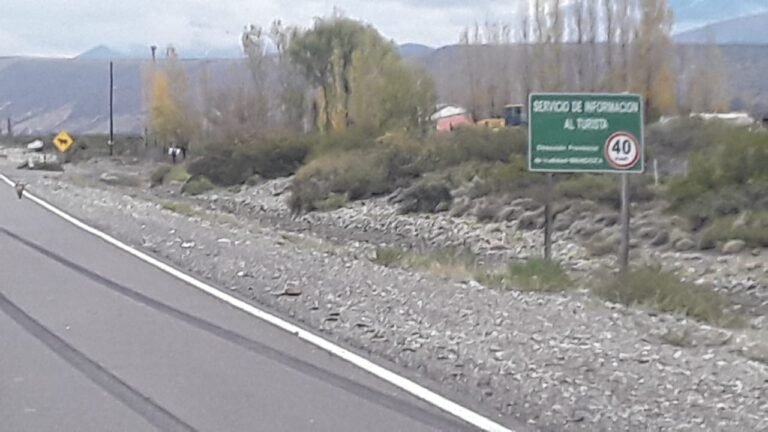 Accidente en ruta 222