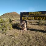 Convocan personal temporario para Áreas Naturales Protegidas, Manejo del Fuego y Náutica