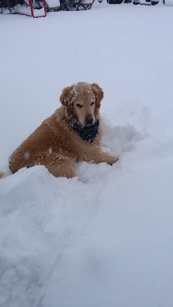 67bcedc6 deb0 4b5a bad2 e7c0b716bbf9