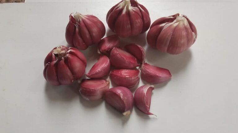 Exportación de ajo a Brasil busca reforzar Mendoza
