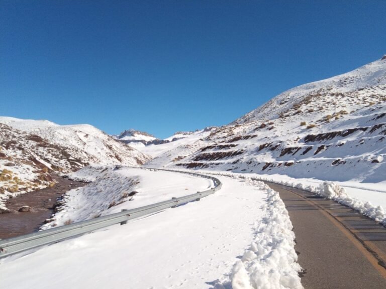 Reabrió Paso Pehuenche