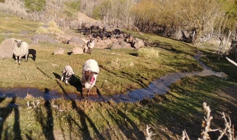 Se espera un verano complicado en materia hídrica