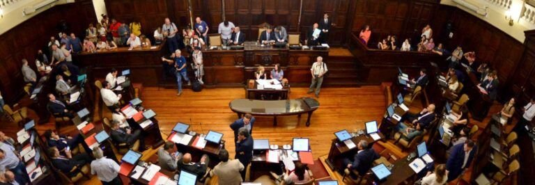 El Senado de Mendoza aprobó el proyecto de Boleta Única