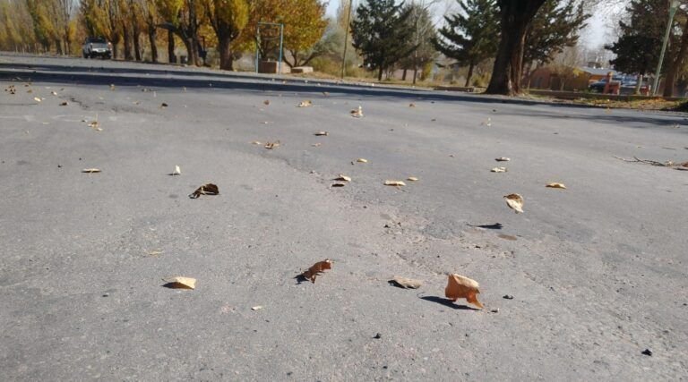 Pronostico meteorológico próximas horas