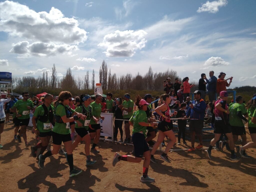 dos elementos carrera