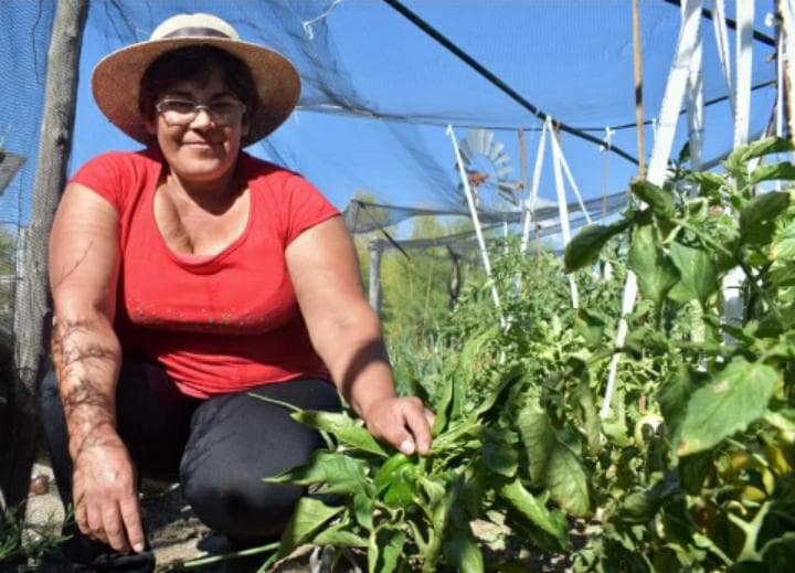15 de octubre, Día internacional de las mujeres rurales, protagonistas de su historia 11 MUJERES RURALES5