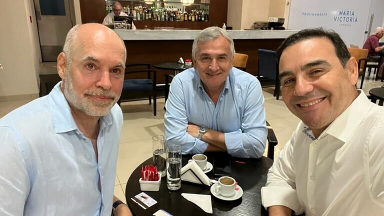 El radicalismo empieza a fortalecer su alianza con el PRO a nivel nacional