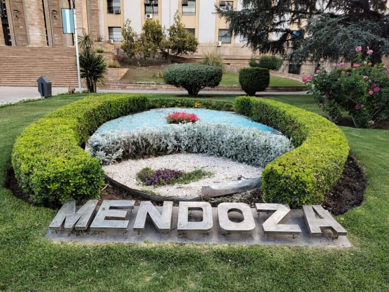Mendoza presentó documentación de Cerro Amarillo al COIRCO