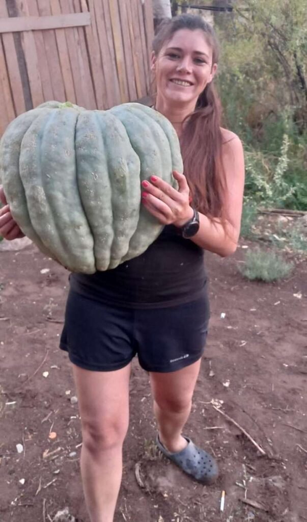 zapallo gigante2