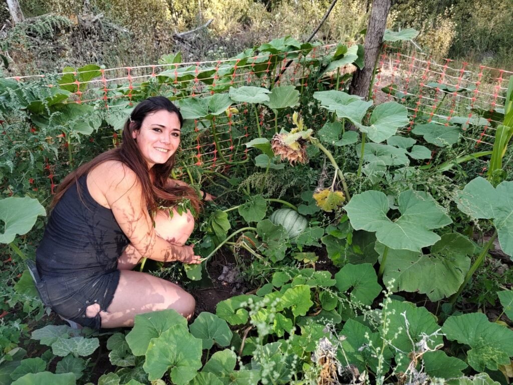 zapallo gigante3