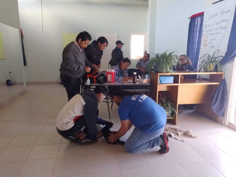 Castrarán mascotas en barrios Municipal y Los Intendentes