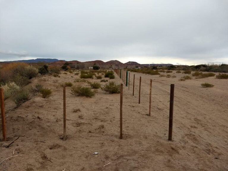Pata Mora, futuro parque industrial priorizará mano de obra mendocina