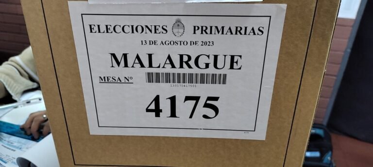 Nación confirmó fecha de elecciones 2025 y suspensión de las PASO