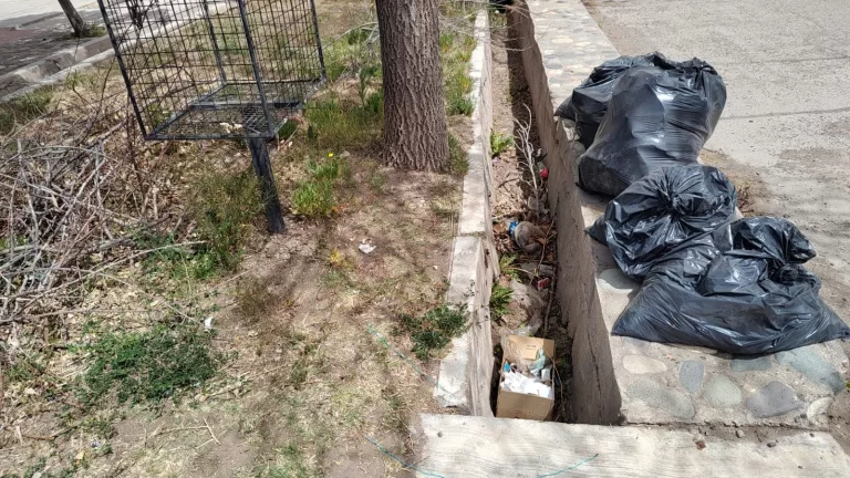  Solicitan retiro de despuntes de ramas y bolsas con residuos