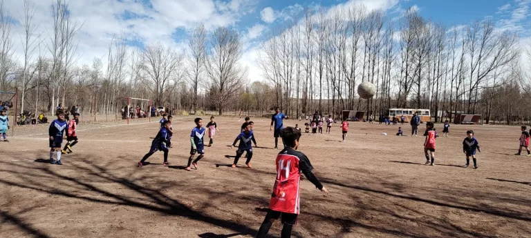 Concluyó Torneo clausura de la Liga infantil