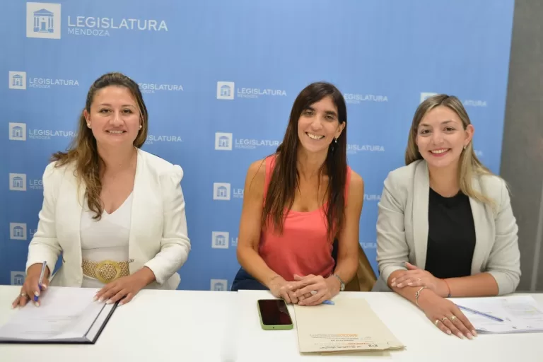 Senadora Laferte preside Comisión de Hidrocarburos, Energía y Minería