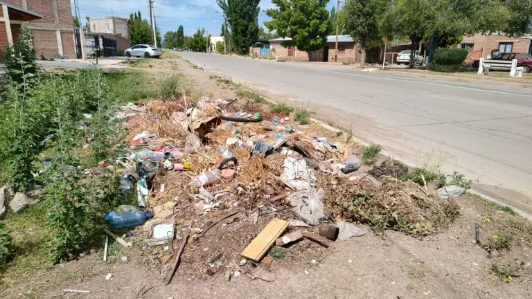 Día Mundial de la Educación Ambiental, ejes para un desarrollo sostenible