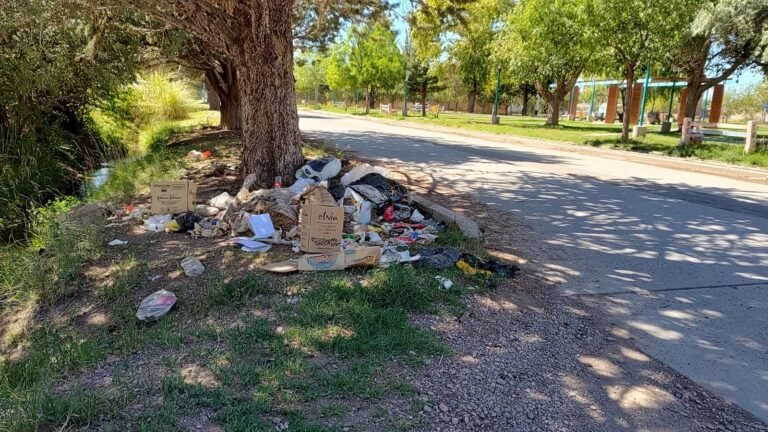Vecinos preocupados por acumulación de basura