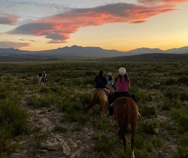 IDR abre inscripciones para concurso sobre turismo rural y agroindustria