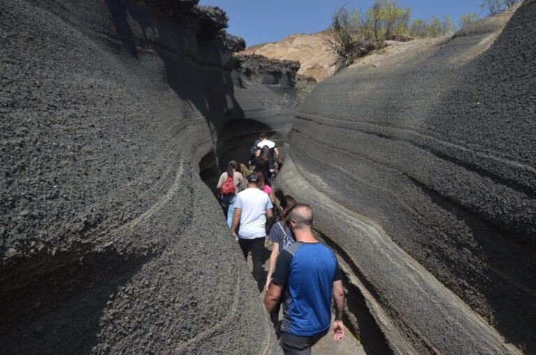 CAME destacó que  turistas extranjeros equilibraron la temporada