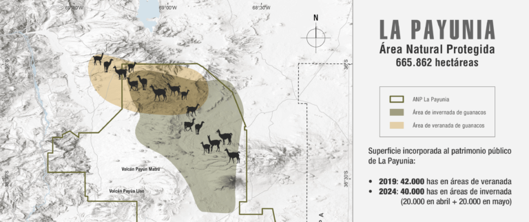 Payunia suma 20 mil hectáreas al dominio público