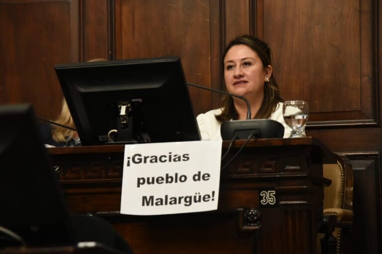 Nuevo Código de procedimientos mineros es ley en Mendoza