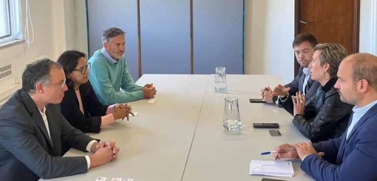 Empresarios chinos y canadienses buscan explorar cobre en Malargüe