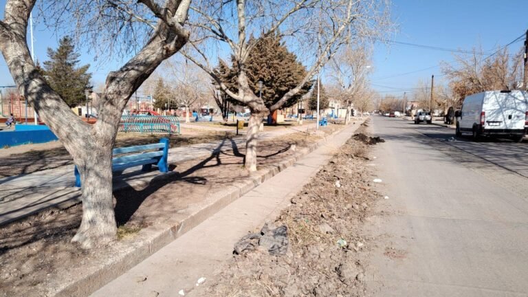 Un problema de todas las gestiones: la limpieza de acequias y el desparramo de basura en las calles