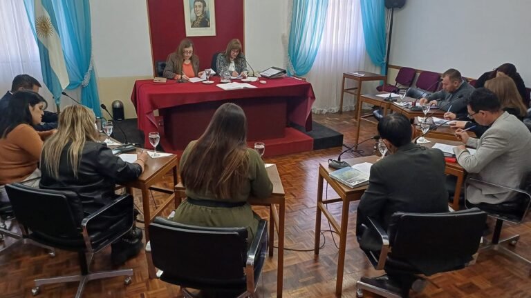 Concejales se asignan 40 millones de pesos para becas y subsidios