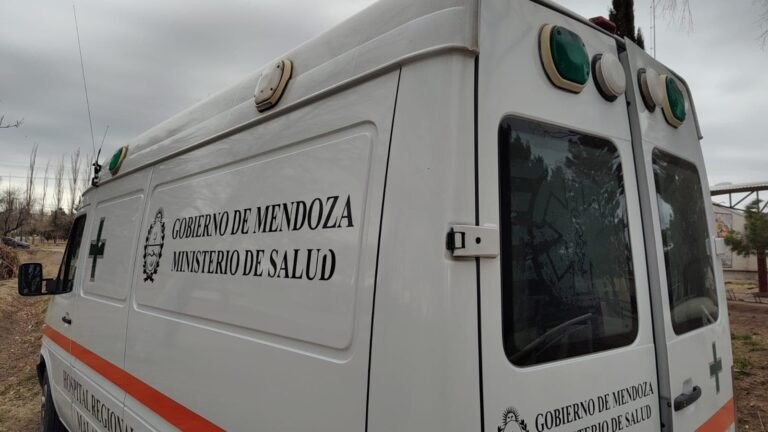 Lesionados tras siniestro vial en  Cañada Amarilla