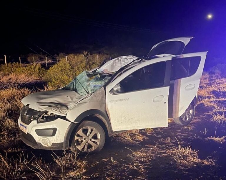 Accidente en Ruta 222 reaviva debate sobre animales sueltos en Malargüe