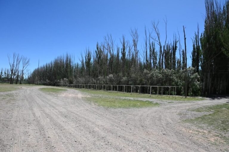 Malargüe recibiría terrenos donados por el gobierno provincial