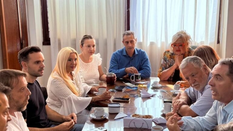 La Unión Mendocina se reconfigura con una «agenda provincialista» en la Legislatura