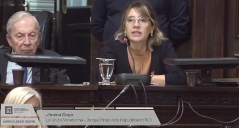 Cogo votó contra convenio vial entre Nación y Mendoza por excluir a Malargüe