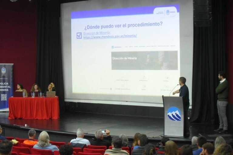 Audiencia Pública del Malargüe Distrito Minero Occidental 2 sigue desarrollándose en Thesaurus