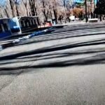 Encuentro Binacional en Paso Pehuenche: qué mercadería puede frenarte el ingreso y qué exige SENASA a feriantes y visitantes