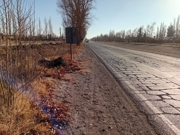 Presentaron proyecto para declarar en emergencia vial un tramo de la Ruta 40 en Malargüe