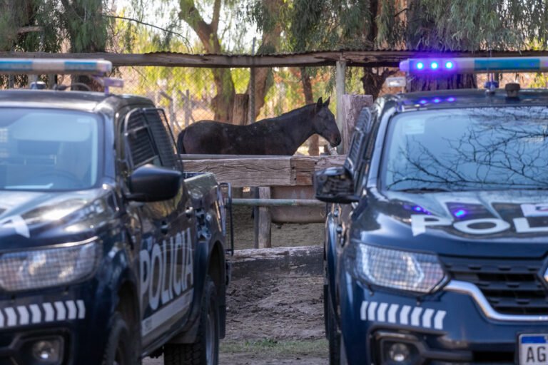 Decomisaron 280 kg de carne en mal estado en carnicería de Malargüe