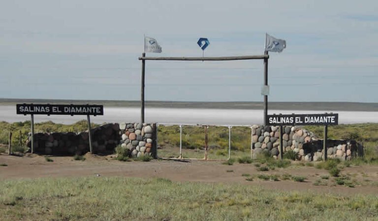Litio en la Salina del Diamante