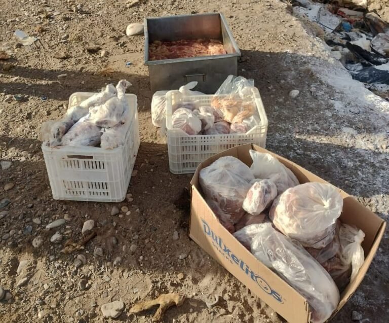 Incautaron más de 80 kilos de carne en mal estado