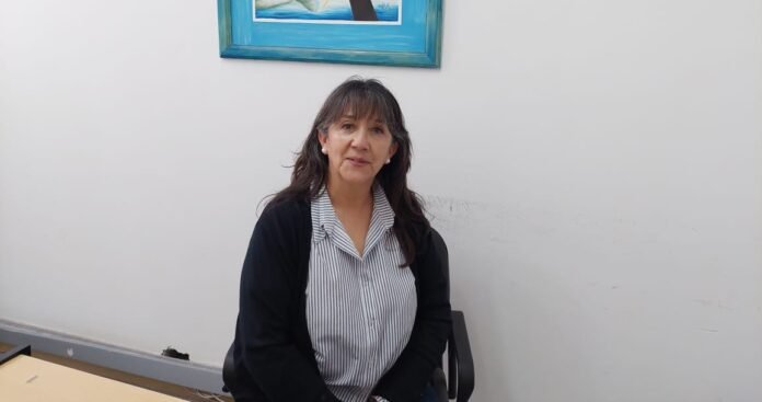 Irma Ibarra - Licencias de conducir
